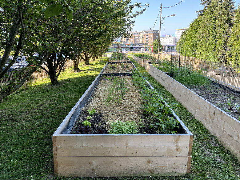 Des projets pour vous !